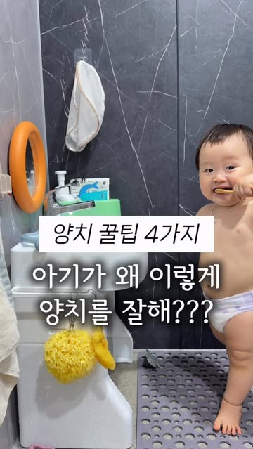 닥터노아 대나무칫솔