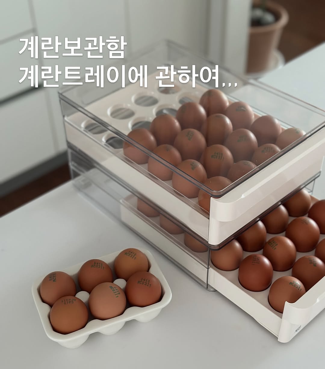 무항생제 난각번호 1번 유정란