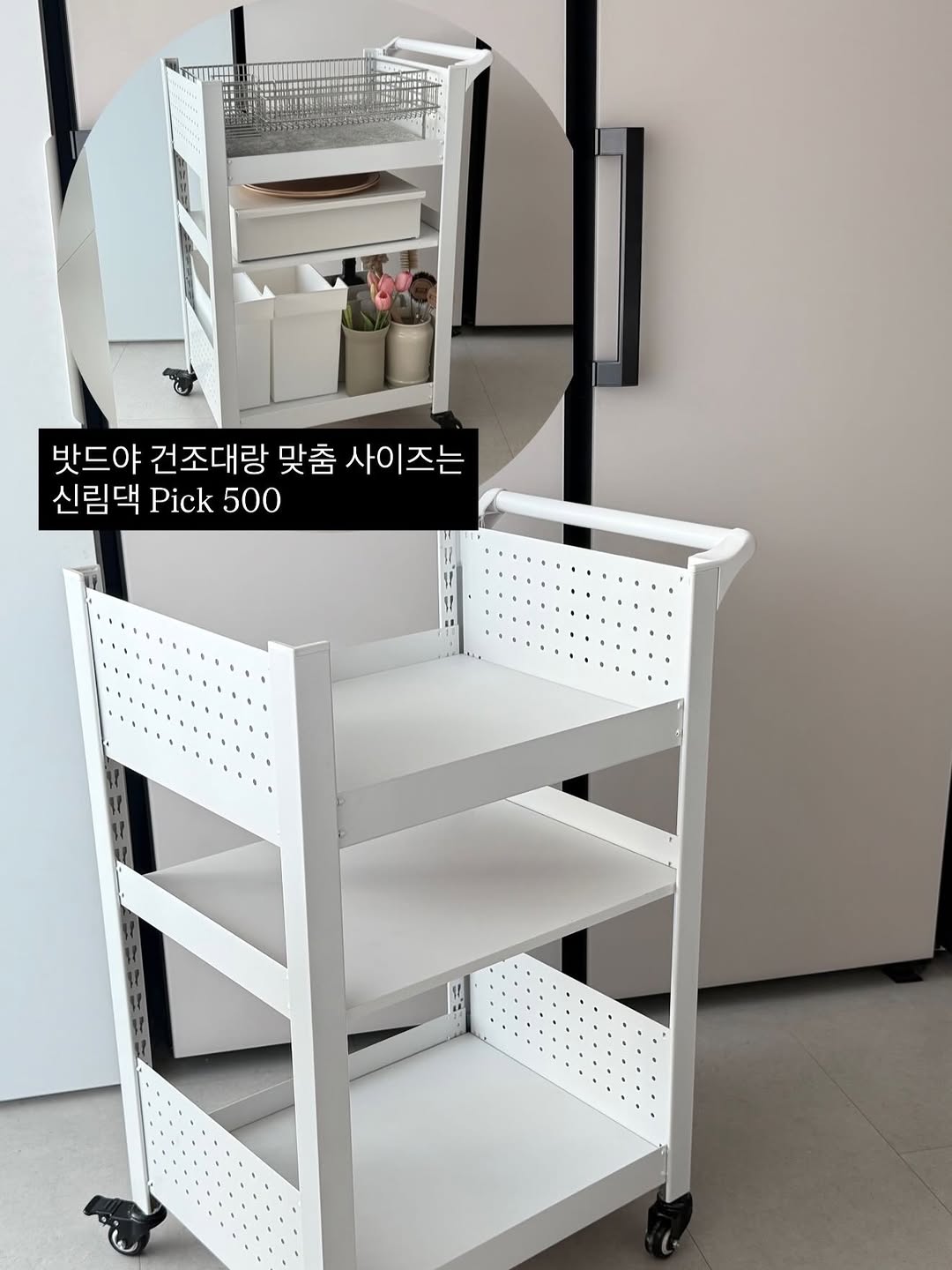 홈던트하우스 트롤리패키지