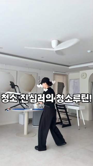 에어르 더 그램 청소기
